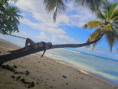 /album/fotogaleria-karibik-island-hopping-zajezd-vy-a-my/island-hopping-zajazd-00-3-jpg1/